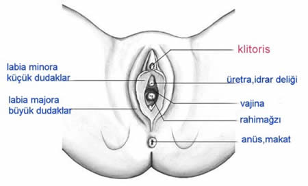 Klitoris Emiş Vibratörü